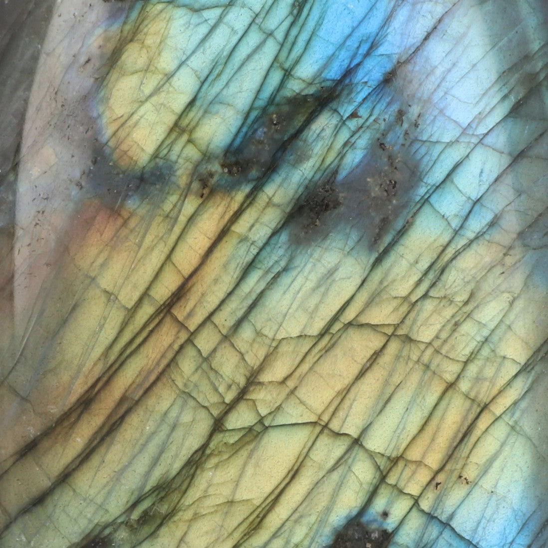 Labradoriet uit Madagaskar