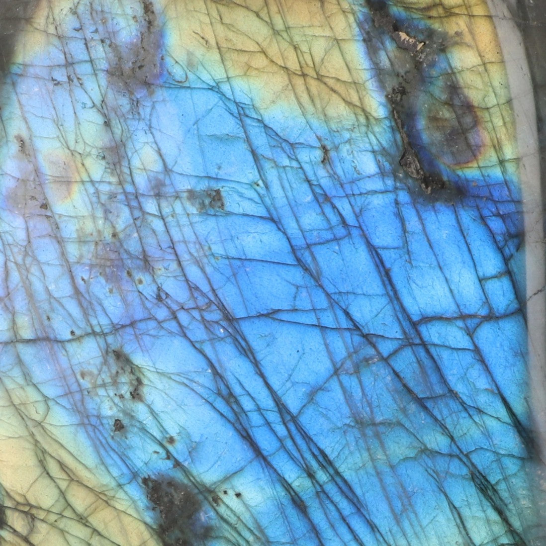 Labradoriet uit Madagaskar