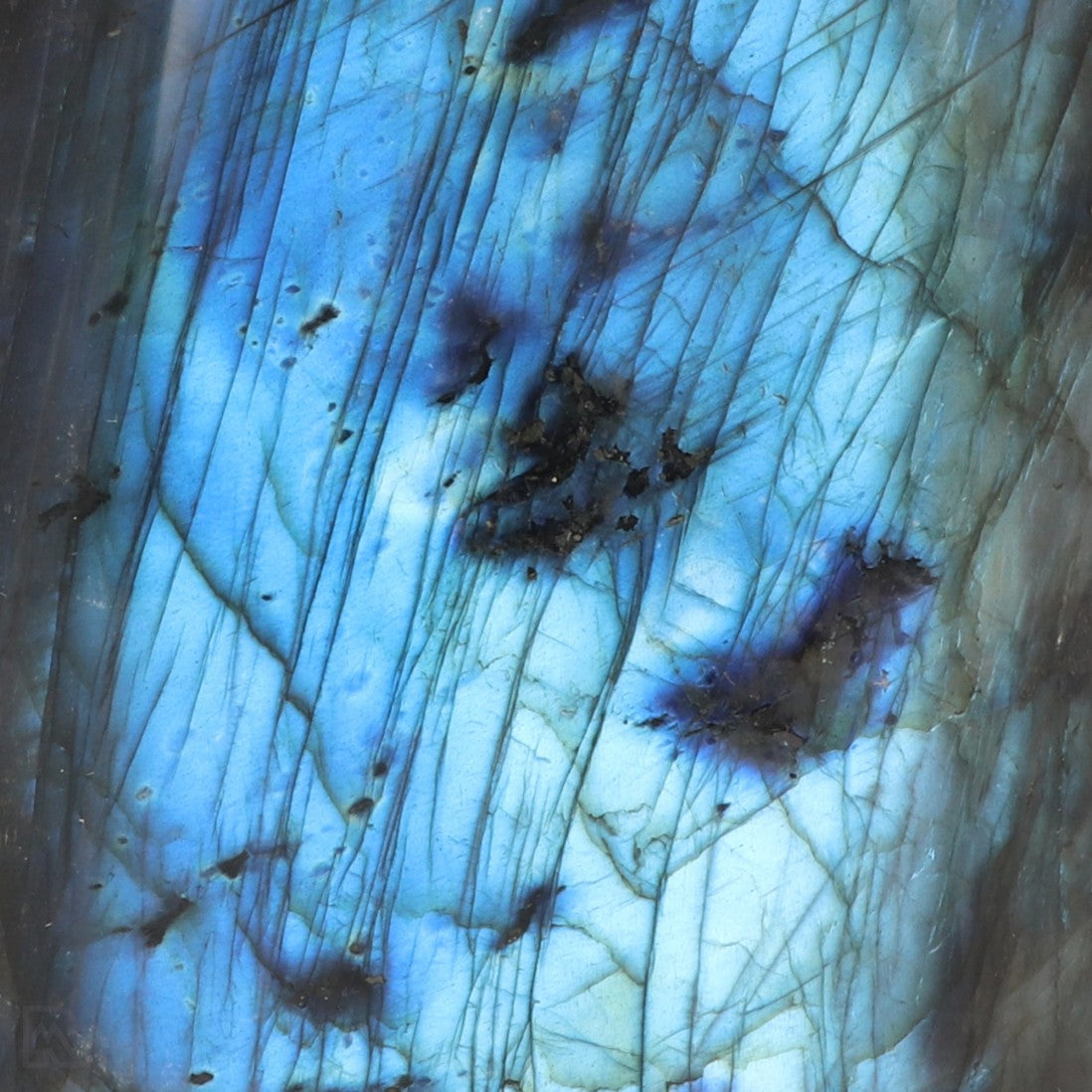 Labradoriet uit Madagaskar